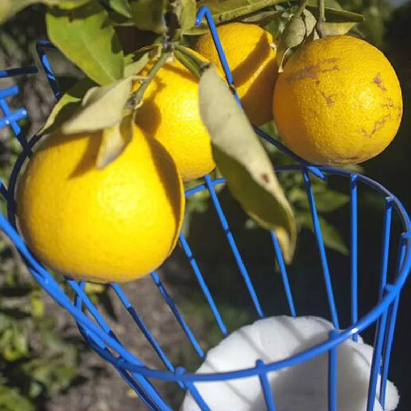 Deep Basket Fruit Picker Fruit Picker Catcher Apple Peach Picking