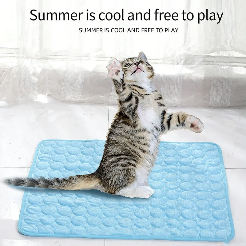 Pet Ice Silk Cool Sleeping Mat Breathable Heat Dissipation Non Slip Summer Rest Pad For Puppy Kitten