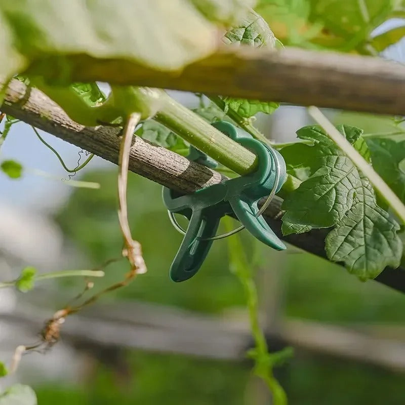Plant Fixed Clips Reusable Garden Bracket for Fixed Plants Support Garden Supplies