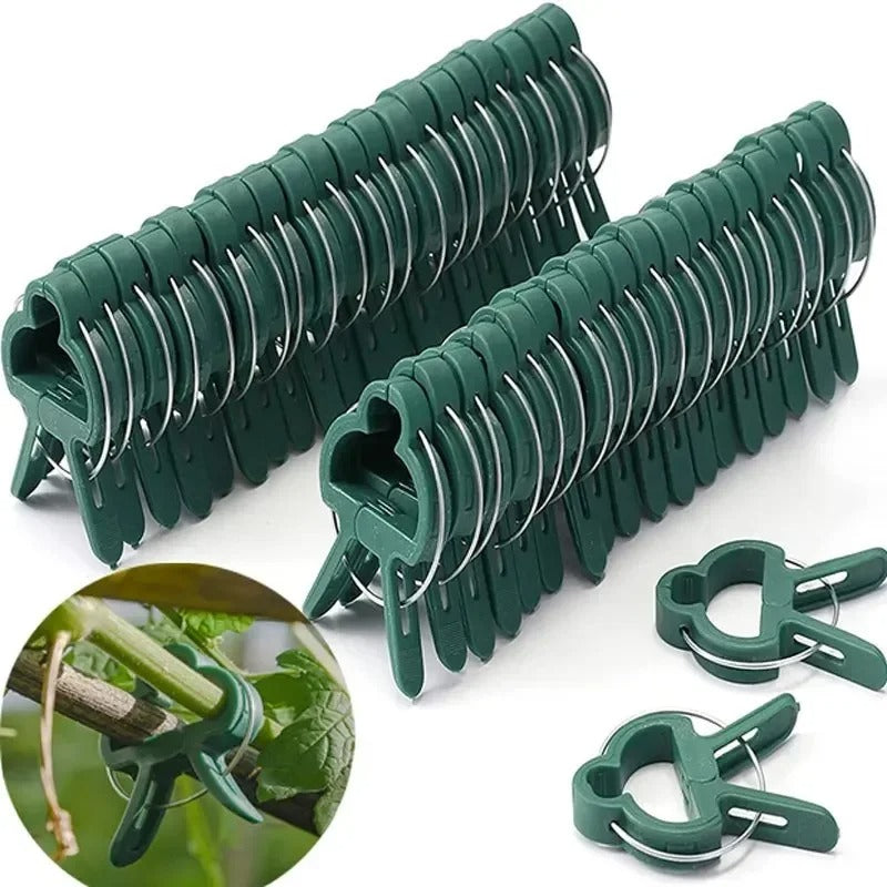 Plant Fixed Clips Reusable Garden Bracket for Fixed Plants Support Garden Supplies