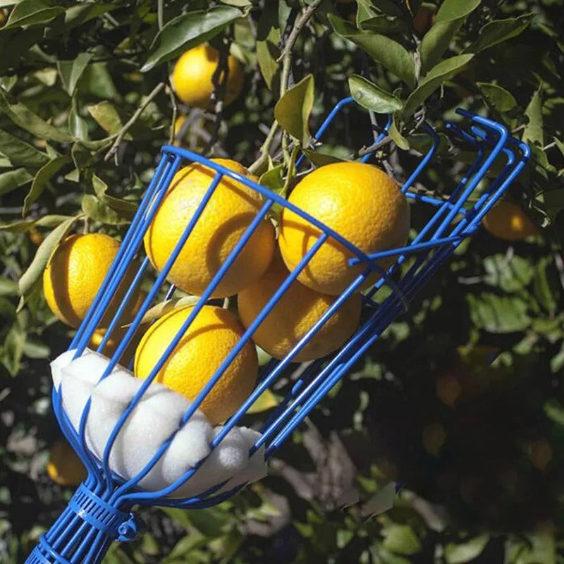 Deep Basket Fruit Picker Fruit Picker Catcher Apple Peach Picking