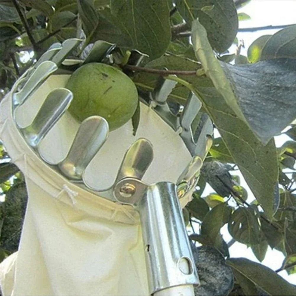Garden Fruit Picker Head Orchard Apple Pears Orange High Tree Farm Fruits Collector