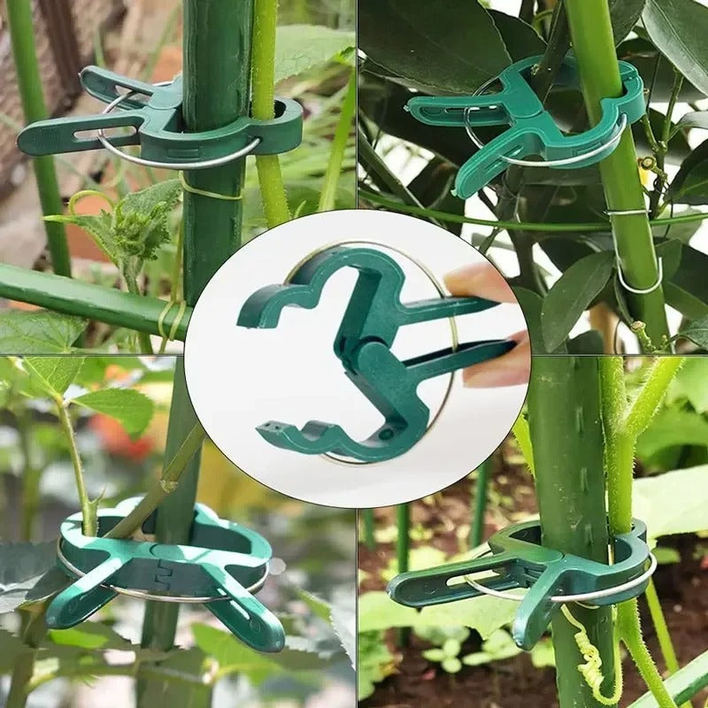 Plant Fixed Clips Reusable Garden Bracket for Fixed Plants Support Garden Supplies
